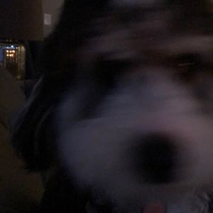 Meet your Posher, Sandra